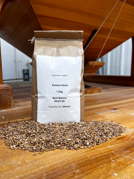 Einkorn Grain