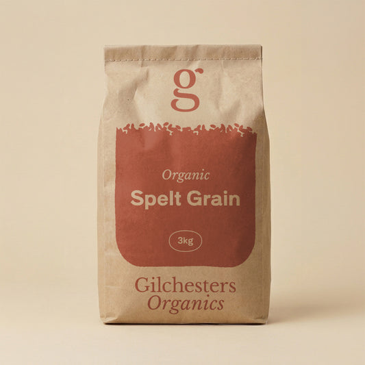 Organic Spelt Grain