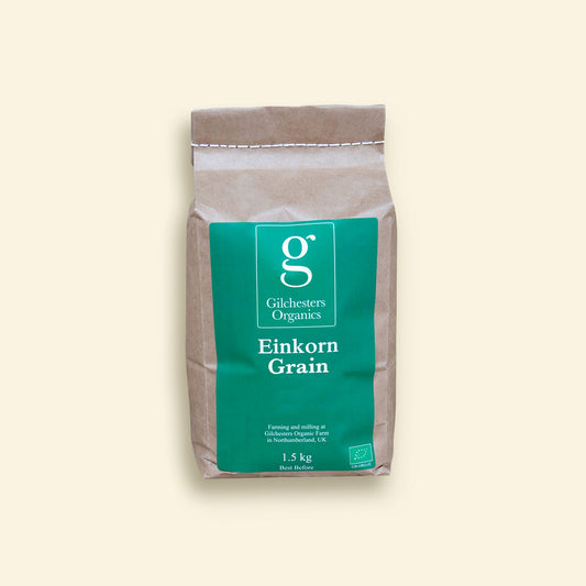 Einkorn Grain